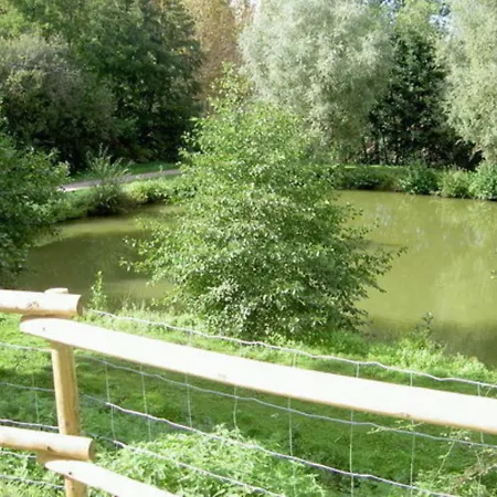 Independant Renove, Animaux Acceptes, Jardin - La Tourne - Fr-1-489-22 Chatel-de-Neuvre