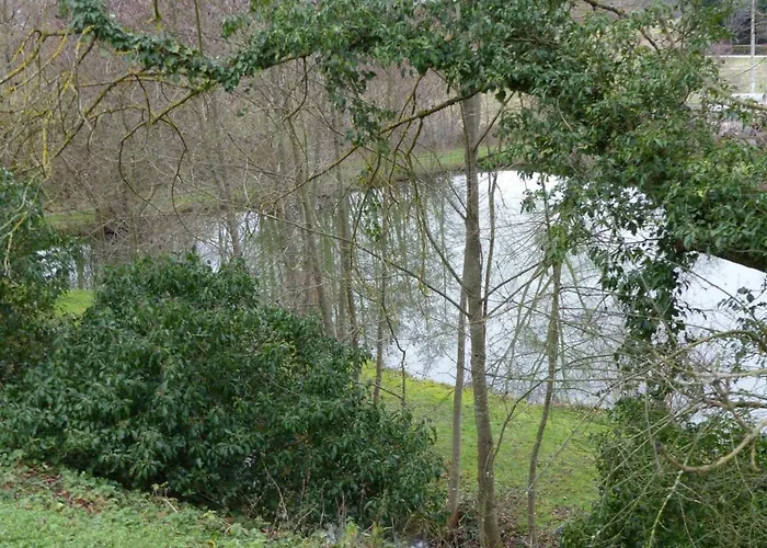 Independant Renove, Animaux Acceptes, Jardin - La Tourne - Fr-1-489-22 Holiday home